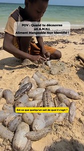 5.1K views · 1.7K reactions | Est-ce que quelqu’un sait de quoi il s’agit ? Est-ce que ça se mange ? Si oui, ça a quel goût et c’est cuisiné comment ? Merci d’avance pour vos réponses  #fruitdemer #mystere #amni #poisson #question #madagascar #pecheur | Vania Zareh Albert Bourset | Facebook