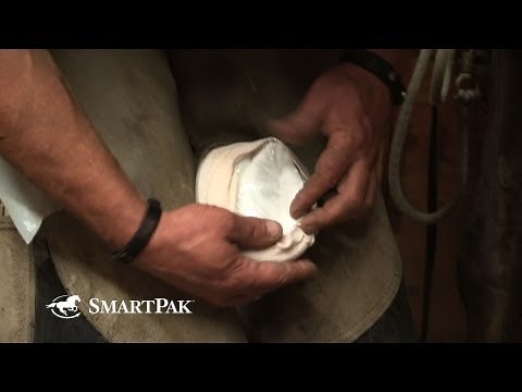 The Smart Way to Wrap Your Horse's Hoof