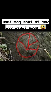 Golden Lily sign! #highlights2025 #everyonehighlightsfollowers #fbreelsfypシ゚viralvideo #highlightseveryone | Ninja Hunter