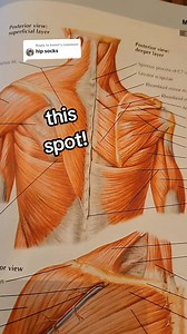 🟣 inner shoulder blade #chiropractor | Bannockburn Chiropractic & Physical Therapy