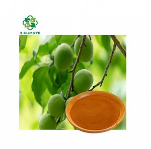 [Hot Item] Potassium Fertilizer Bio Fulvic Acid Powder Organic Fertilizer 100% Water Soluble
