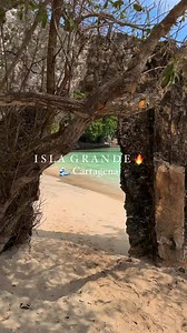 📍Isla Grande - Islas del Rosario 🏝️Cartagena de Indias - Colombia 🇨🇴. Síguenos: Arena Tours Cartagenapara mas 😉..........#islagrande #islasdelrosario #cartagena #colombia #turismocolombia #fyp #turismocartagena #holiday #cartagenadeindias #marcaribe #lifestyle #travelcolombia #traveling #fypシ #likeforlike #follow #viral #conocecartagena #turismo #sudamerica #visitacartagena #facebookreels #reels | Arena Tours Cartagena