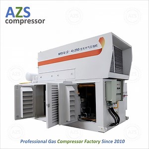 [Hot Item] Hot Sale Natural Gas Hydraulic Piston Compressor for Fueling Station with Dispenser