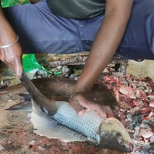 57K views · 604 reactions | Mesmerizing Technique: Layers of Rohu Fish Skillfully Sliced!  | Hasini Kitchen | Facebook