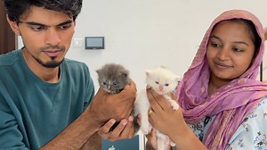 7.3K views · 113 reactions | NIKKI KUTTY-ல இது மட்டும் தான் இருக்கு..﫣 | Suhail - Vlogger | Facebook