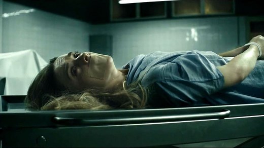 Ciało Anny Fritz (2015) Lektor PL