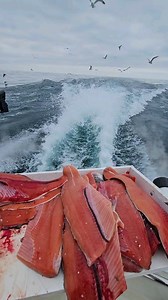 6.1K views · 374 reactions | Lake Michigan views! | Big boy fishing | Facebook