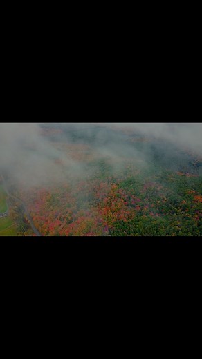 22K views · 52 reactions | Muskoka once discovered wil never be forgotten #fallvibes #fallseason #winteriscoming #colours #muskoka | Im Venom | Facebook
