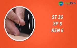 4.3K views · 197 reactions | SPLEEN Qi Deficiency in Chinese medicine: symptoms and simple basic treatment (acupuncture & diet). | AcuPro Academy | Facebook