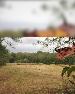 Hunt with a friend, spouse or alone, but never without a license. | Wildlife Resources Division - Georgia DNR