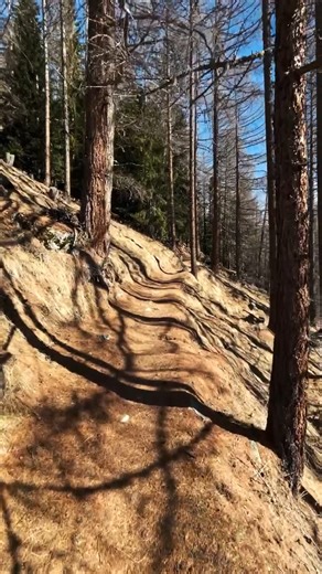 Ein sonniger Frühlingsspaziergang zum Restaurant Alpenblick. 🚶🏻‍♀☀ 🎥 Marc Amann | Saas-Fee