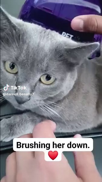Darnell Benally on TikTok