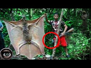 5 Paranormal Phenomena Captured On Camera