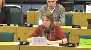 MEP Clare Daly - speech from 12 Jan 2023 Special Committee on foreign interference in all democratic processes in the European Union, including disinformation from 12/01/2023 | VideoParliament Ireland