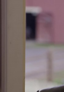 Midnight Stallion Trailer (2013)