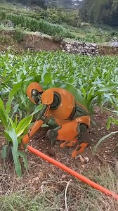 1.3K views | Ai Robot technology | MexicoEnFotos.com | Facebook