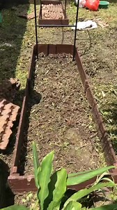 Homemade rooting formula for house hold | Manufor Progress