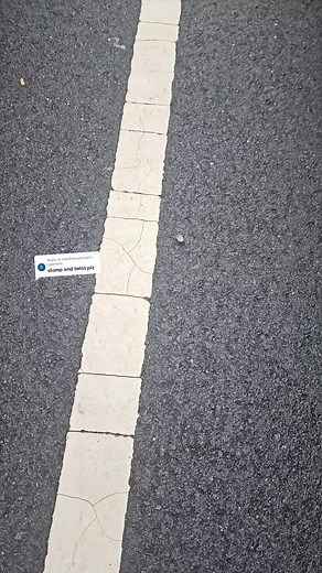 Crushing Bugs: A Compilation of Bug Squishing Videos