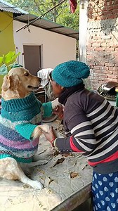 64K views · 1.7K reactions | Mummy kam bad mein karo pahle mujhe pyar Karo ❤️ | Mydog Teed | Facebook