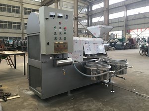 [Hot Item] Automatic Screw Sunflower Oil Press Machine/Sunflower Oil Refining Machine/Sunflower Oil Making Machine