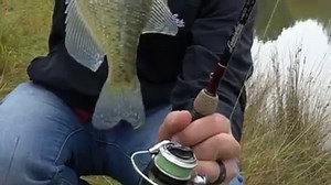 53K views · 506 reactions | Affordable, balanced, sensitive and an...