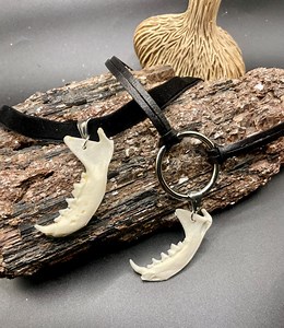 Mink Jawbone Choker | Ethically Sourced Bone Jewelry | Velvet or Genuine Leather Anatomical Necklace - Etsy Canada