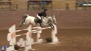 5K views · 135 reactions | Michael James Pender & Cul Ban Mistress won the Equestrian Store sponsored 148cm Pony Premier League at the Cavan Equestrian Centre on Saturday. | Showjumping Ireland | Facebook