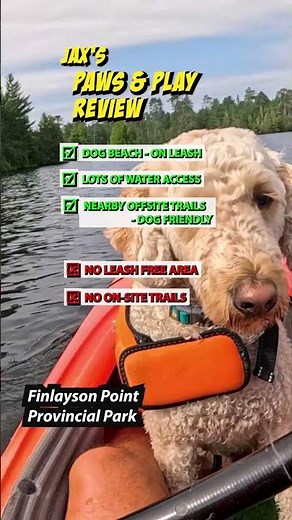 Jax's Paws & Play Review - Finlayson Point Provincial Park #shorts #rvlife #dogfriendly