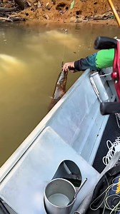 85K views · 185 reactions | #fishing #fish #outdoors #flyfishing #nature #catchandrelease #bassfishing #fishinglife #travel #photography #ocean #trout #bass #hilightseveryonefollowers #bass #IA #adventure #angler #florida #beach #fisherman #tightlines #fishingislife #hilights #hilightseveryone | Fishing and Hunting | Facebook