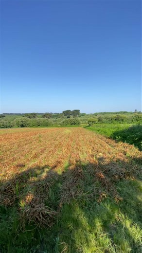 12K views · 591 reactions | Another peaceful morning on the Isles of Scilly Stuart | The Isles of Scilly | Facebook
