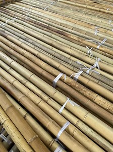 [Hot Item] Professional Bamboo Poles for Gardening and Plant Care High Quality Volume Pricing