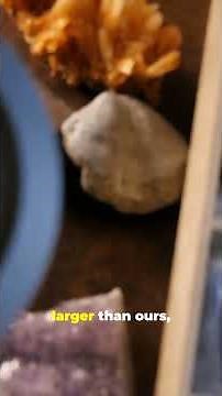 Denisovan Fossil SHOCKER in Taiwan Cave!