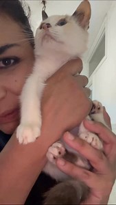 31K views · 2.5K reactions | Rosa anzi color pesca la nostra Marlena  | Micetti di Brindisi | Facebook