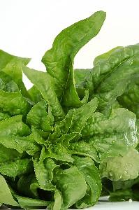 What Is the Normal Amount of Potassium an Adult Needs?