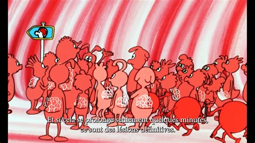 En cette Journée mondiale du cerveau🧠, permettons-nous un petit voyage dans notre organisme ! Globus nous en apprend plus sur le fonctionnement du centre de contrôle de notre corps… Le savez-vous ? Le cerveau utilise 2000 litres de sang par jour 🩸 qui lui fournissent 60 litres d’air 🌬, soit 20% de ce que consomme le corps tout entier ! | Il était une fois - Hello Maestro