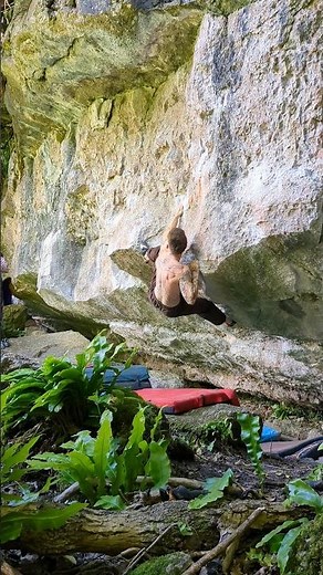 Angel Long 7b - Woodwell