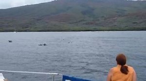 74 reactions · 11 shares | Trilogy Excursions on Reels | Facebook