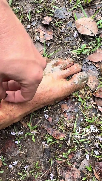 Capturing a Giant Anaconda in the Wild Adventure