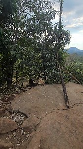 299K views · 5.6K reactions | Vida de Campo en El Salvador | Isa Adventures | Facebook