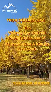 🍁TRẢI NGHIỆM THU HÀN QUỐC 2023 MÙA LÁ VÀNG 5N4Đ CHỈ 12TR900K🍁 ƯU ĐÃI GIẢM TỚI 1 TRIỆU khi đặt tour tại AV Travel ✔ Visa trọn gói, MIỄN PHÍ tư vấn hồ sơ ✔ Vé máy bay khứ hồi – giờ bay đẹp cùng hành lý 20kg ký gửi 07kg xách tay ✔ Khách sạn 4* tiêu chuẩn Hàn Quốc, trung tâm Seoul ✔ Hướng dẫn viên Việt Nam nhiệt tình, kinh nghiệm theo đoàn suốt tuyến ✔ Chụp ảnh thả ga tại các địa điểm mùa thu hàng đầu Hàn Quốc: Đảo Nami, tháp Nam San, làng văn hóa dân gian Hàn Quốc... >>> Đặt tour ngay để không bỏ