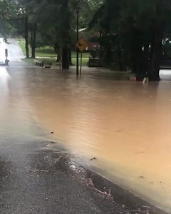 35K views · 243 reactions | Flooding in Northport… video from Helen Carden | James Spann | Facebook