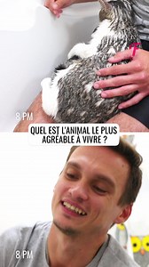 Les amis à fourrure ont leurs avantages et leurs inconvénients | Femme Heureuse