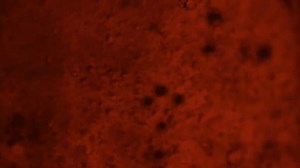 High Speed Slow Motion Oil Flowing: стоковое видео (без лицензионных платежей), 3419812025 | Shutterstock