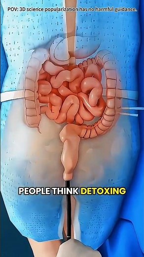 Colon Hydrotherapy Procedure Explained | 3D Animation