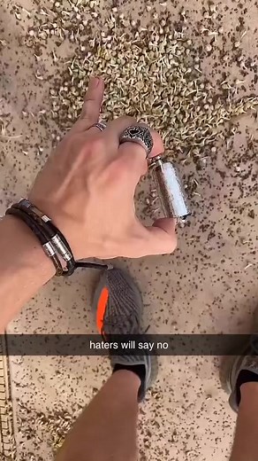 It still cleared the pool | Austin Sprinz