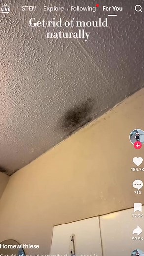 When TikTok hacks go VERY wrong #restorationreacts #tiktokmademetryit #cleantok #DIY #servicemaster | ServiceMaster Restore of Niagara