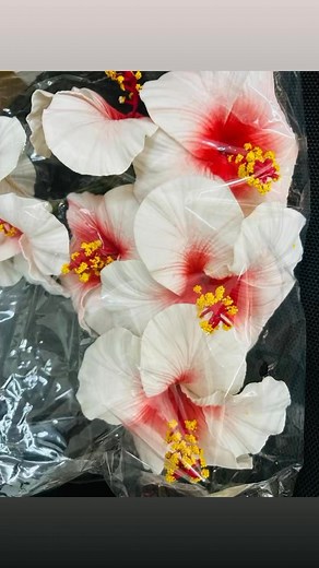 Big Hibiscus Flower, 16CM location: side the kk mart Chinatown Hot Digital 7458666#solomon #honiara #Hot Digital | Carmen Cen