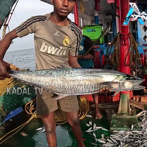 149K views · 4.5K reactions | Trawl Fishing in Trawl Net boat | Net Fishing in The Sea | Kadal #fishing #NetFishing #crabs | KADAL | Facebook