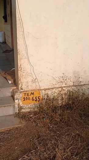 7K views · 70 reactions | Civil Site Engineer on Reels | Facebook