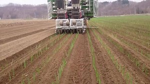 DE-Environment on Reels